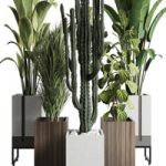 Plant Box Indoor Outdoor Plant 163 – 3D Model