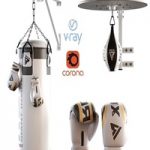 Set Punching bag and gloves from ROX_2