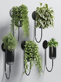collection Indoor plant 135 vase metal stand wall plant