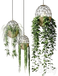 Atelier Schroeter luminaires with hanging plants