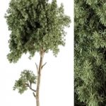 Small Tree Green Maple Needle – Set 71