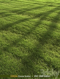 lawn landscape