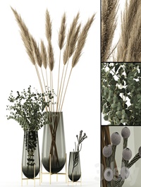 Plants in Echasse Vases
