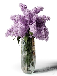 Bouquet of lilacs in a modern tall vase