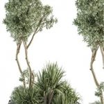 Needle tree and Bush – Outdoor Garden Set 305