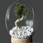 Little Tree In Glass Globe