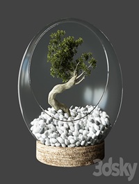 Little Tree In Glass Globe