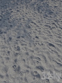 Sand Beach Gray 7