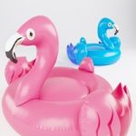 Swimming Flamingo