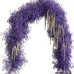 Arch of lavender flowers
