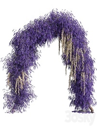 Arch of lavender flowers