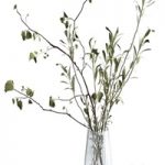 Bouquet of branches
