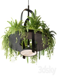 Hanging lamp with plants