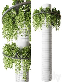 Column with hanging plants (epipremnum)