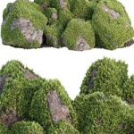 Mossy rock garden collection vol 140