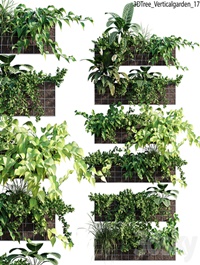Verticalgarden - Green wall 17