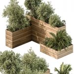 Plant Box – Outdoor Plants 487