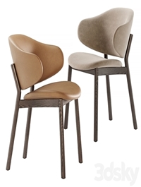 Holly chairs by Calligaris