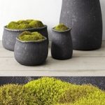 Crosshatch concrete vessel collection with moss