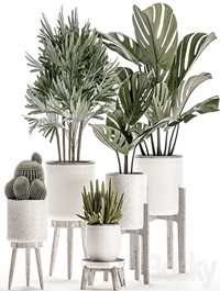 Plant Collection 509. White pot, flowerpot, monstera, painting, palm tree, cactus, Barrel cactus, Scandinavian style, interior, home, eco decor, design