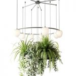 CIRC Suspension lamps Pendants chandelier with ampelous plants