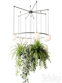 CIRC Suspension lamps Pendants chandelier with ampelous plants