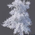 Winter tree (6 meters)