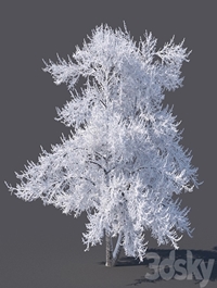 Winter tree (6 meters)
