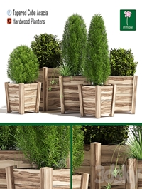 Hardwood planters