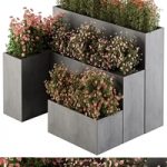 Flower Box – Outdoor Plants 436