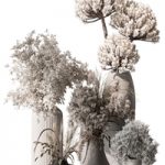 Bouquet – Dried Plant Set 105