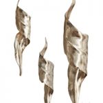 Golden wall sconce LEAF | VetviStore
