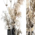 Dry plants 70 – Dried Pampas Set