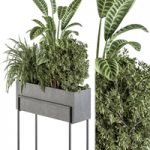 indoor Plant Set 321 – Plant Set in Black Box