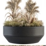 Outdoor Plants tree in Concrete Pot – Set 147