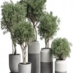 Collection Indoor plant 189 concrete dirt vase pot Tree