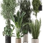 Indoor Plants in Ferm Living Bau Pot Large – Set 474