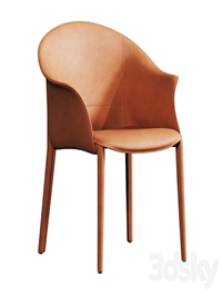 Leisure dining chair