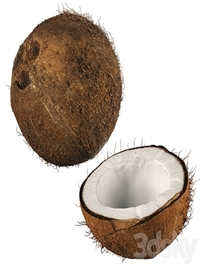 4k coconut 02