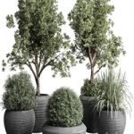 Collection indoor outdoor plant 120 plant tree grass vase dirty concrete