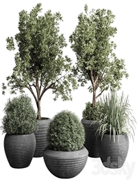 Collection indoor outdoor plant 120 plant tree grass vase dirty concrete