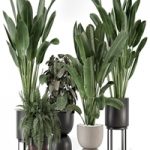 Indoor Plants in Ferm Living Bau Pot Large – Set 1256 Indoor Plants in Ferm Living Bau Pot Large – Set 1256
