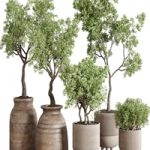 wood collection indoor outdoor plant 141 vase concrete old pot tree vray