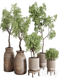 wood collection indoor outdoor plant 141 vase concrete old pot tree vray