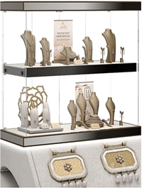 Jewelry showcase for a store 3. Jewelry stand. Display
