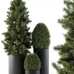 Outdoor Plants tree in Concrete Pot – Set 110