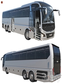 Lions Coach Efficient Line