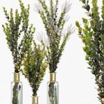 Branches in vases 39