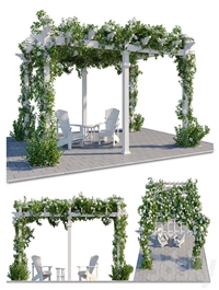 Pergola with Hydrangea