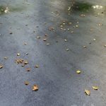 Wet asphalt with leaves. Autumn. Editable